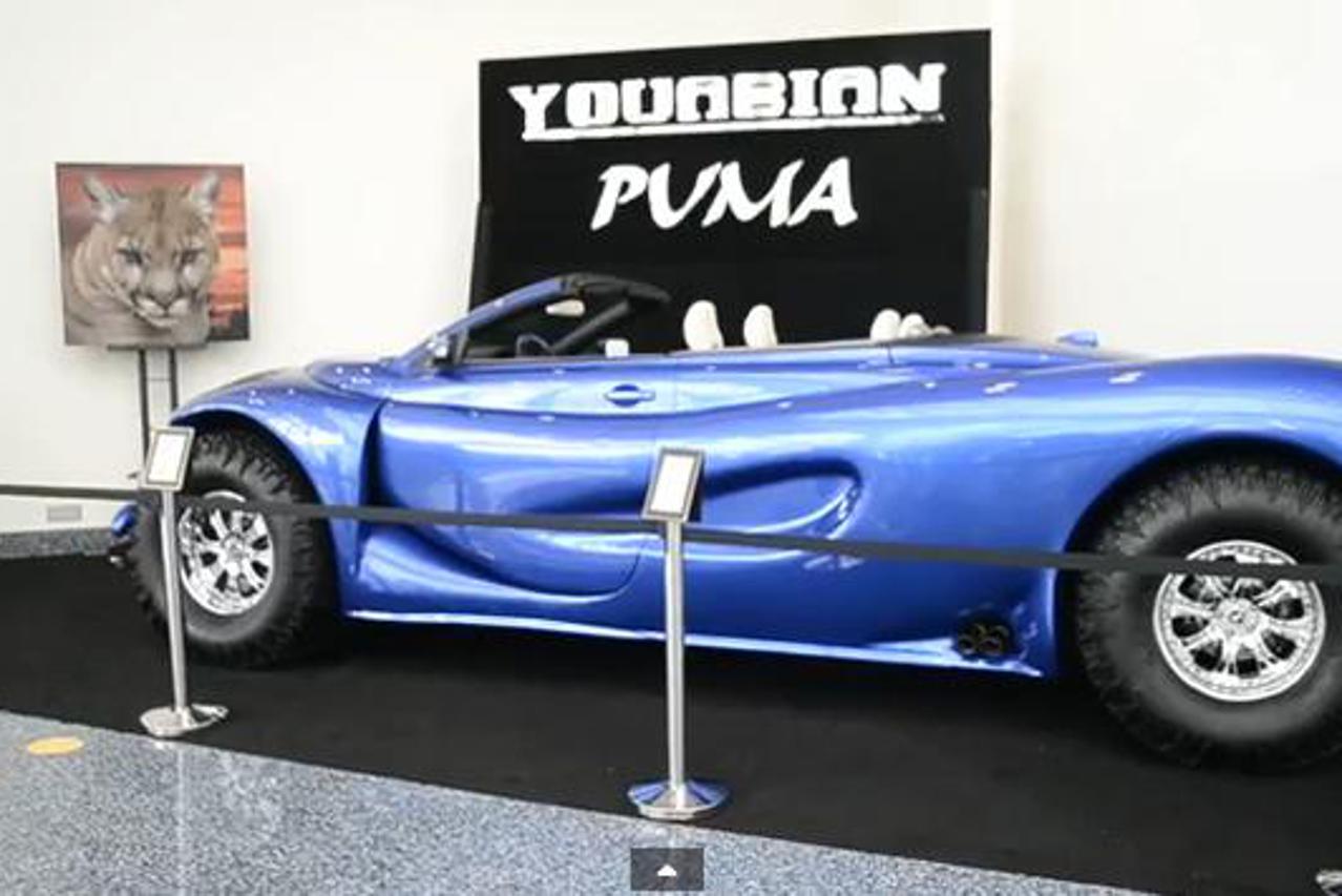 youabian puma