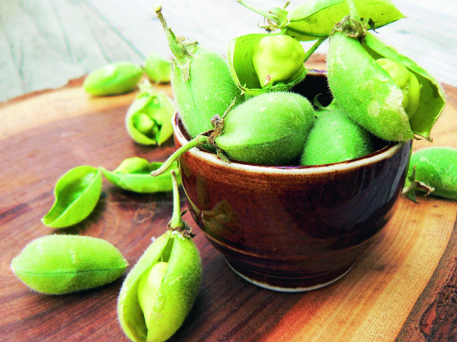 Humus namaz od slanutka