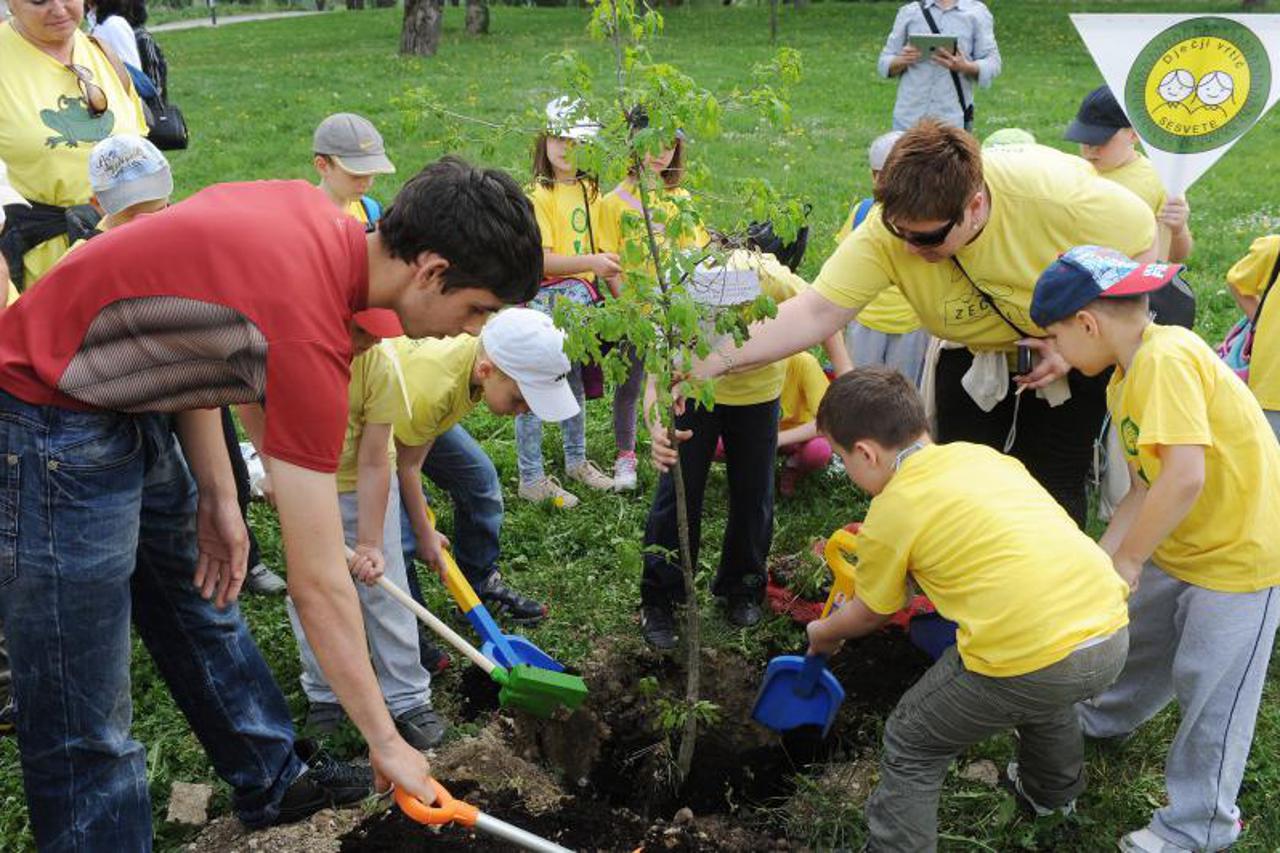 drvo prijateljstva (1)