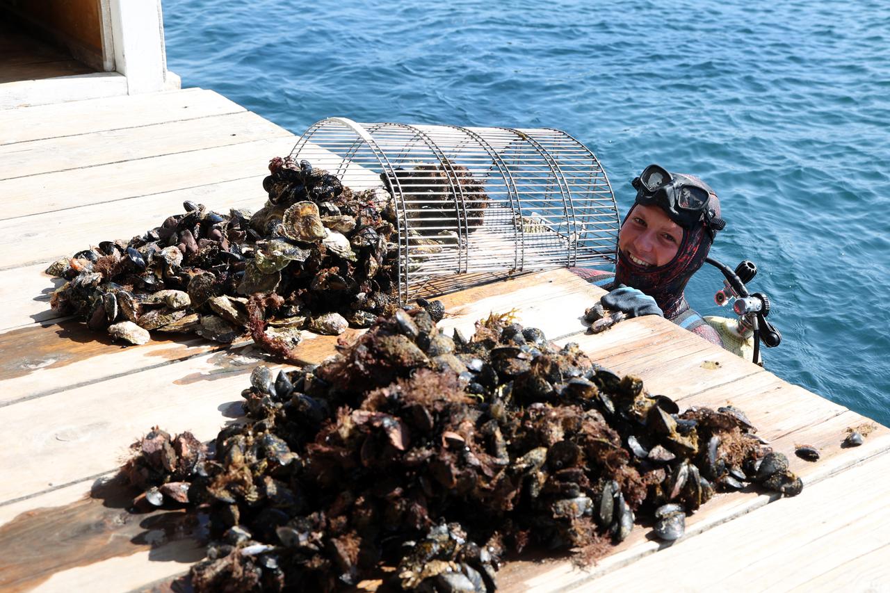 Šibenik: Izbor za najbolji opg -Zlata vrijedan; Romano Prelevic