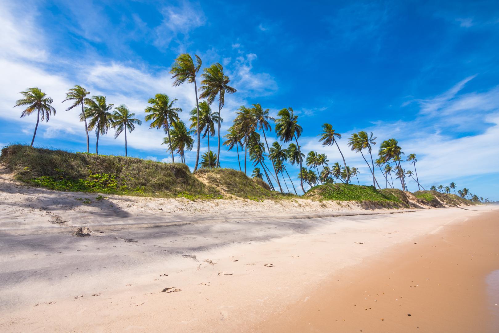 Praia Massarandupió, Bahia, Brazil: Dva sata vožnje sjeverno od Salvadora, nudistička plaža udaljena je oko jedan kilometar hoda od parkirališta uz obalu okruženu kokosovim palmama, valovitim dinama i valovima vrlo pogodnim za surfanje.