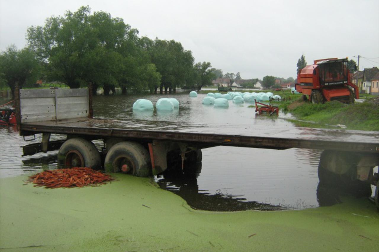 drenovci