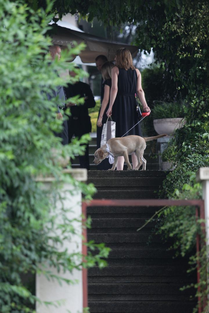 Iako je Zagreb tog dana pogodilo snažno nevrijeme s jakom kišom, mladenci su otkrili kako im to nije pokvarilo slavlje, već je cijelom događaju dalo poseban romantičan ugođaj. Svadbena večera i proslava održane su u poznatom zagrebačkom restoranu "Apetit" na Šestinama.