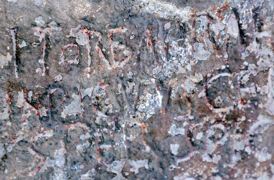 Živogošće: Turistička patrola