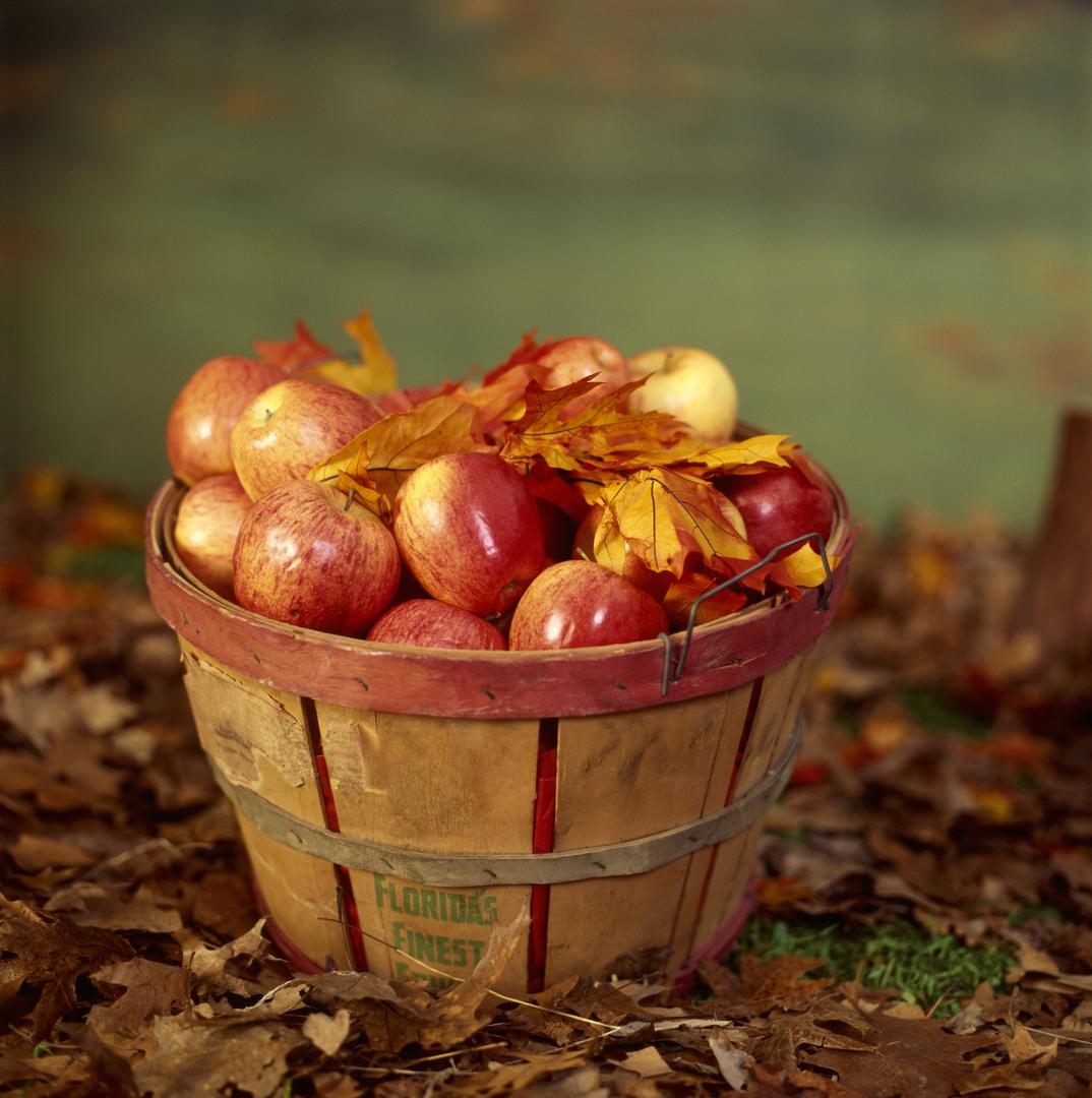 Jabuke - Jabuke sadrže malo kalorija i obiluju vlaknima. Jedna jabuka na dan, s korom, osigurat će vašem tijelu oko 4.4 g vlakana, što je oko jedne petine preporučene dnevne doze. Jedite jabuku prije jela za brže mršavljenje.