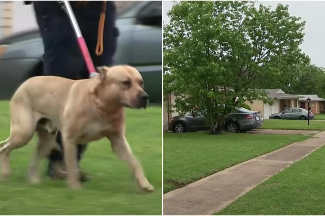 Četverogodišnjakinju iz Teksasa ubio je obiteljski pas
