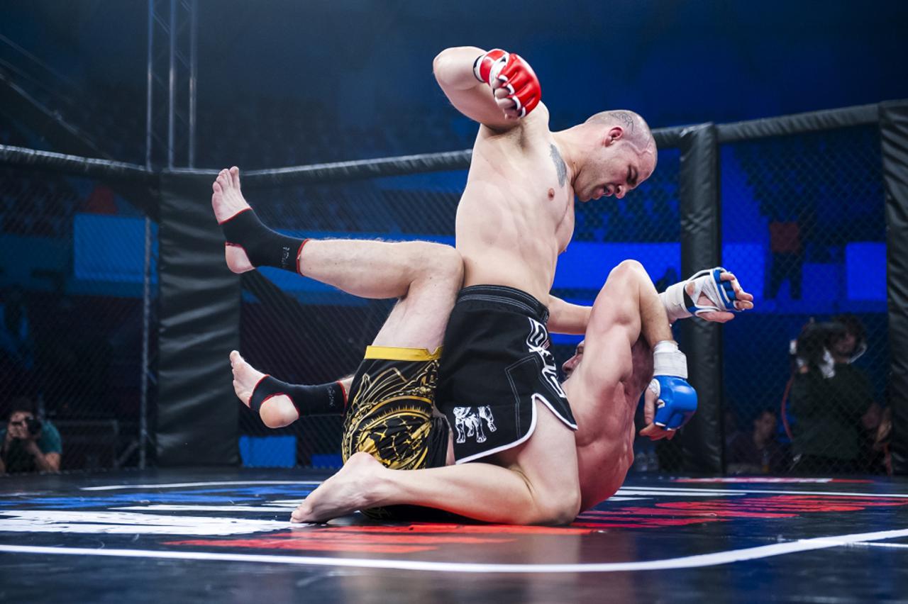 MMA liga (1)