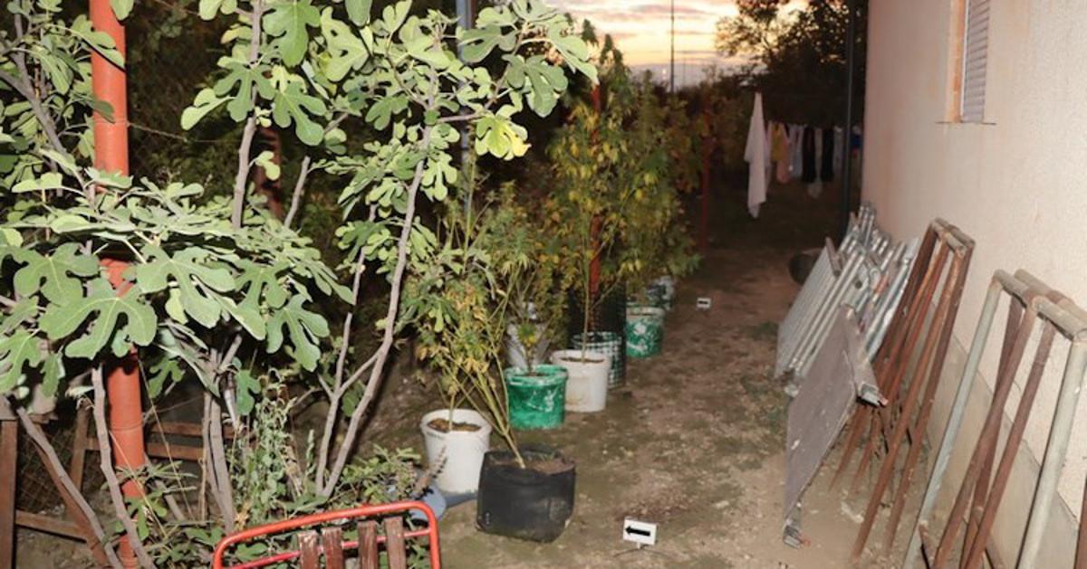FOTO Iza kuće uzgajao konoplju, unutra skrivao kokain: Policija otkrila njegov biznis u Zaprešiću