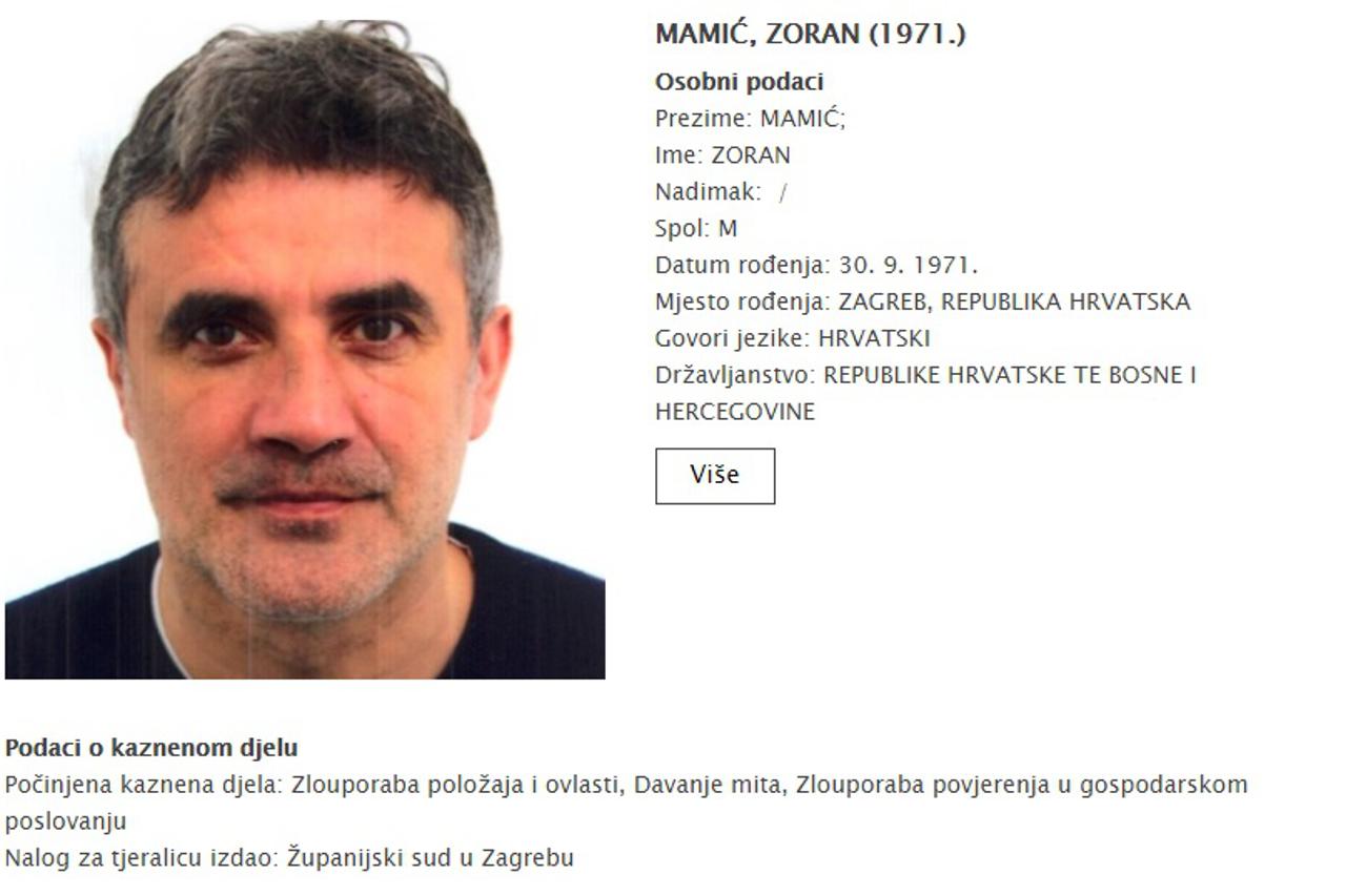 Zoran Mamić