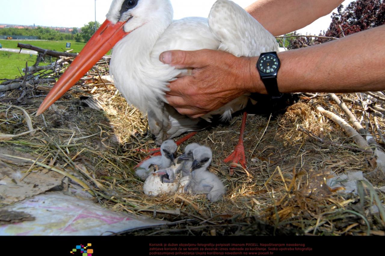 'malena_pxl_sla_190511'