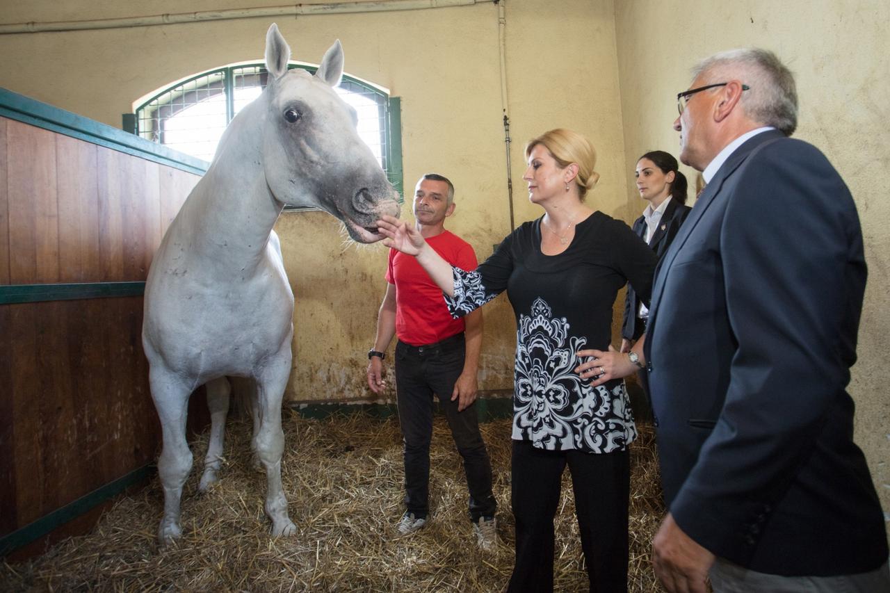 Kolinda Grabar - Kitarović obišla Državnu ergelu Đakovo
