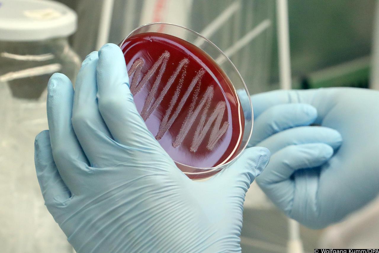Berlin: Mikrobiologija na Max-Planck-Institutu