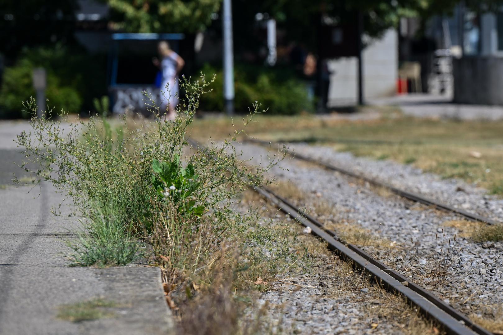 U tijeku su radovi na čak dvije važne tramvajske trase, zbog čega prometa ondje već neko vrijeme nema.