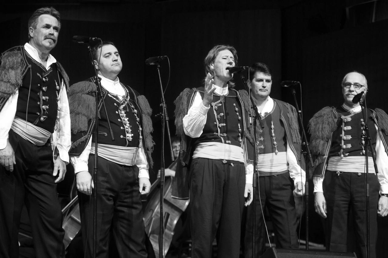klapa Maslina