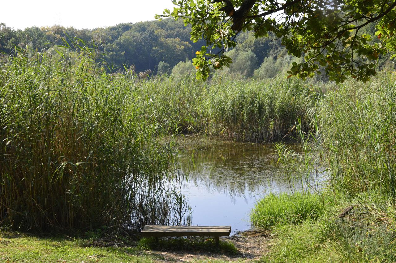 Izletište i zaštićeni prirodni krajobraz Sovsko jezero