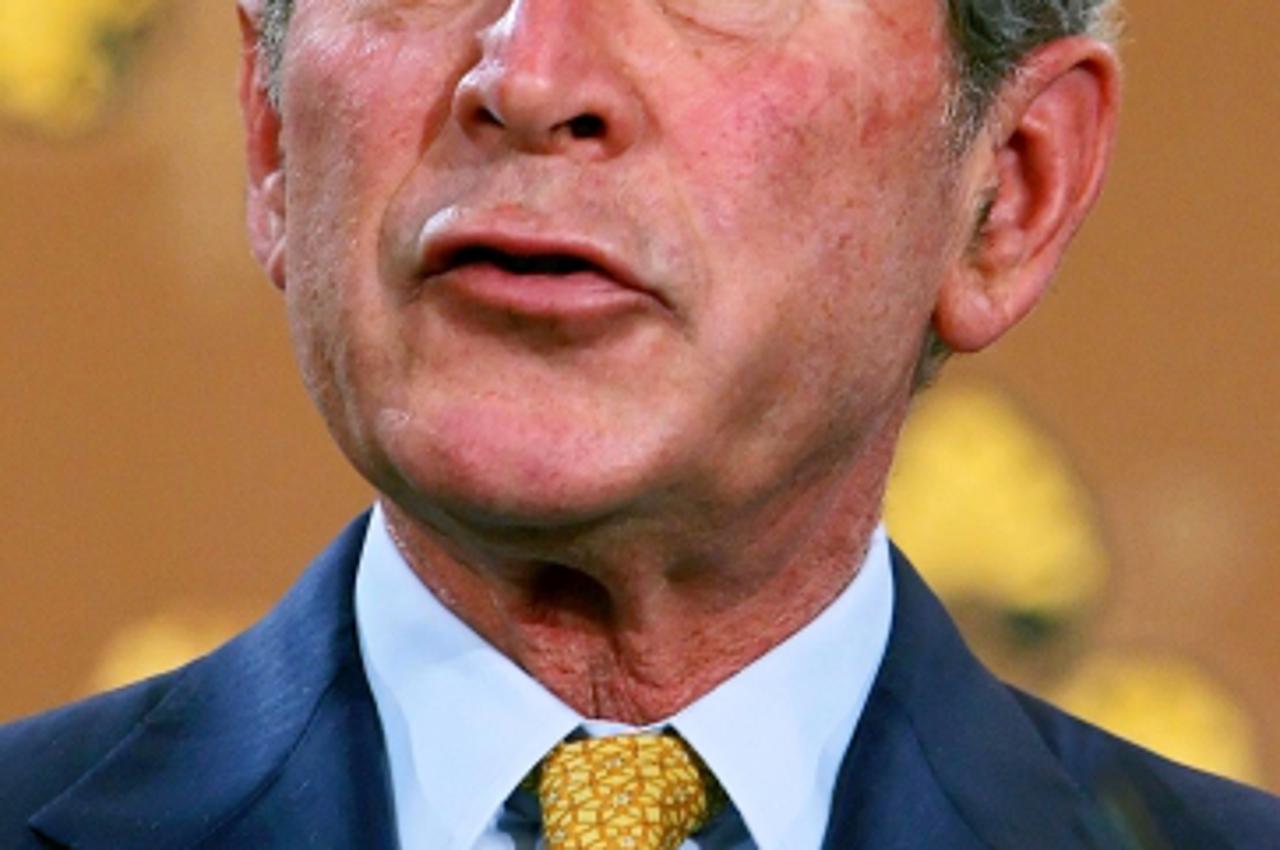 'US President George Bush speaking at the Foreign and Commonwealth Office in London during the second day of his official visit to the UK.Photo: Press Association/PIXSELL'
