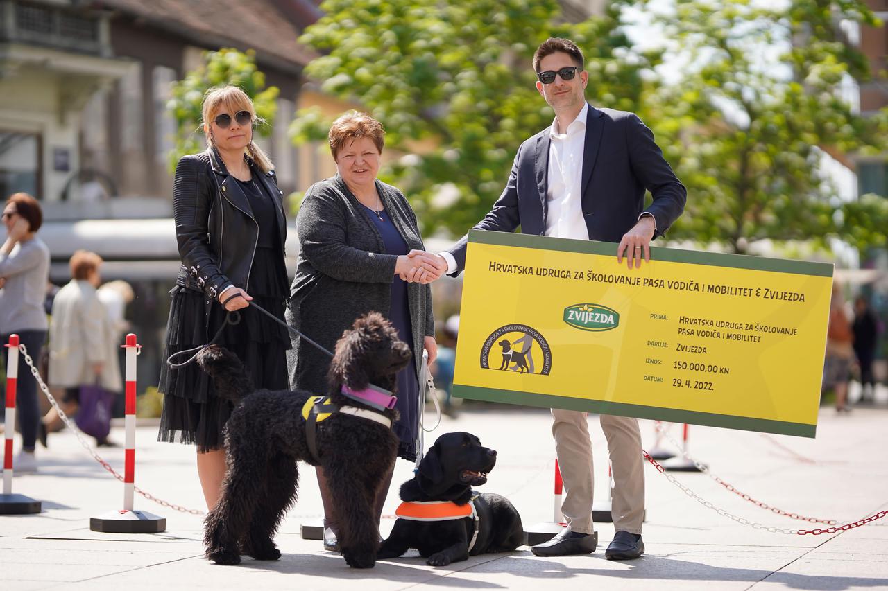 Zvijezda donira 150 tisuća kuna Hrvatskoj udruzi za školovanje pasa vodiča i mobilitet