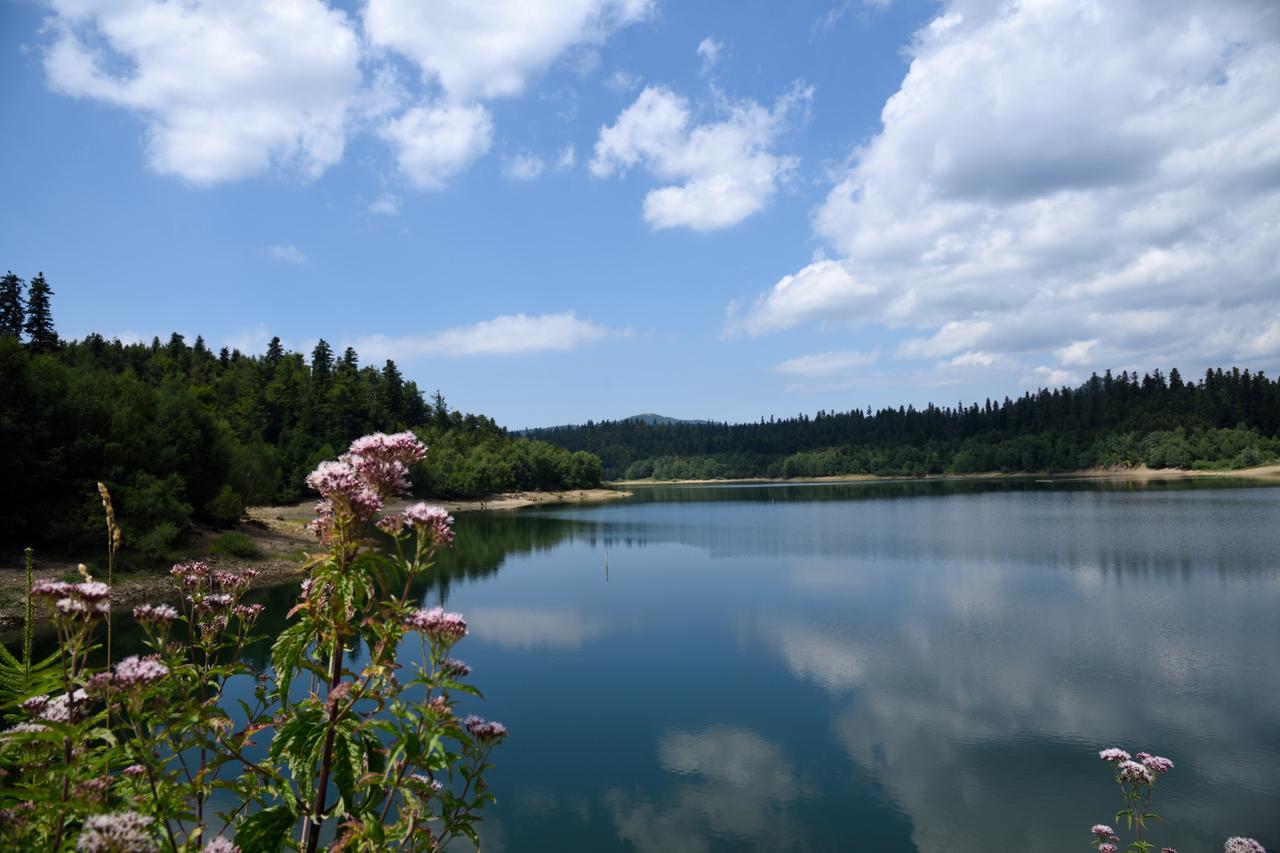 Jezero Lepenica