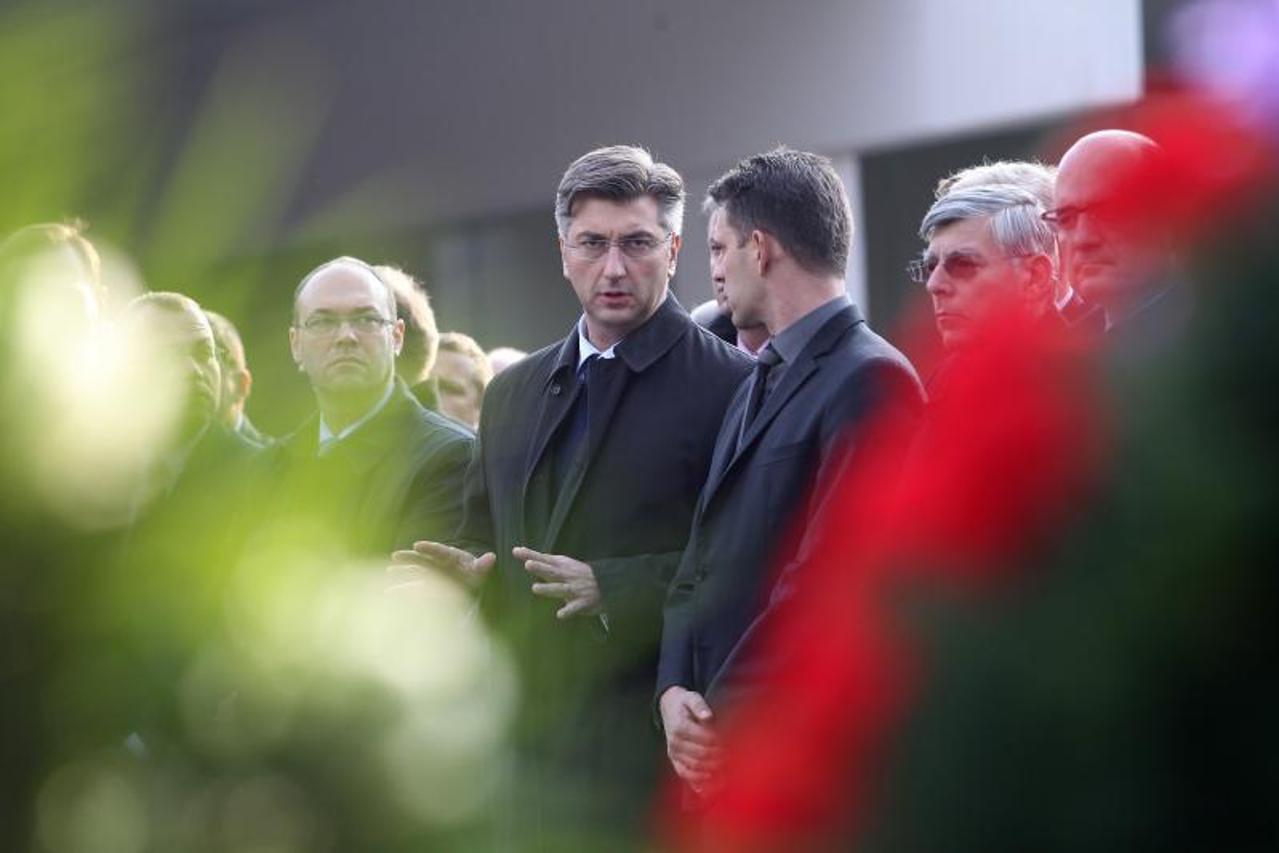 Stier, Plenković