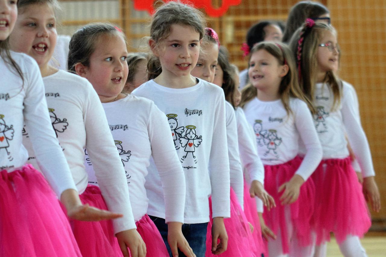Festival zborova