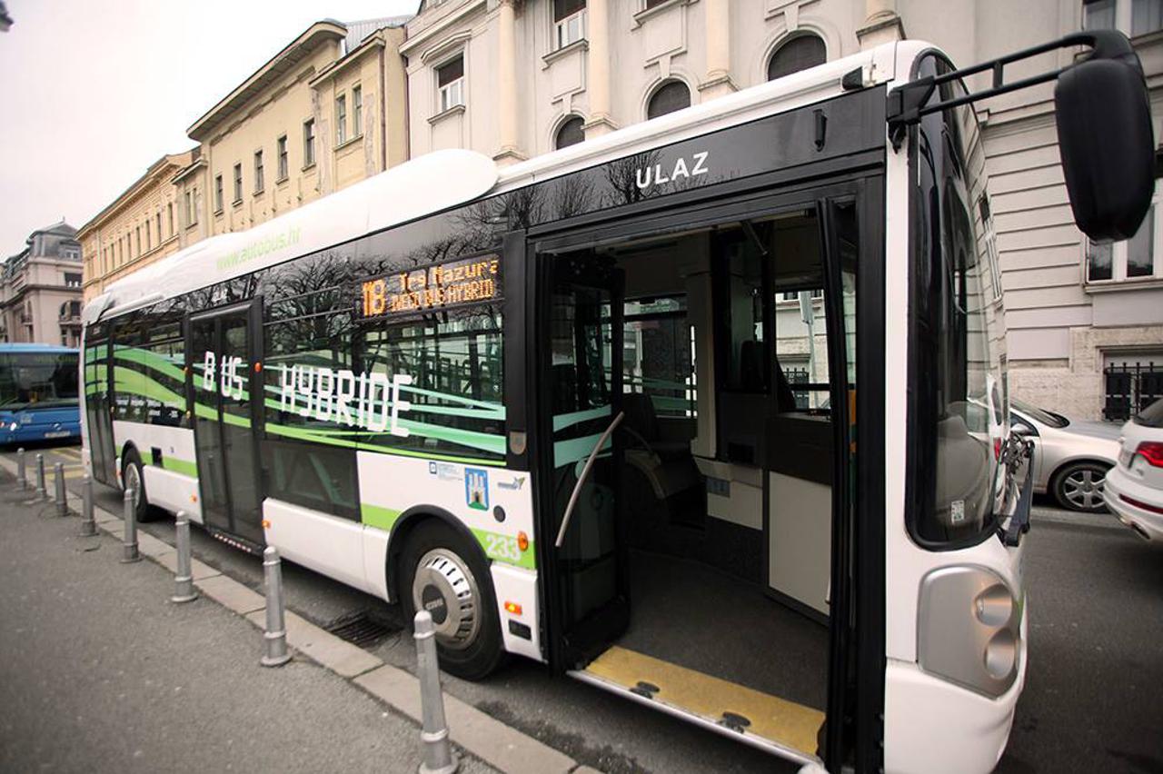 bus