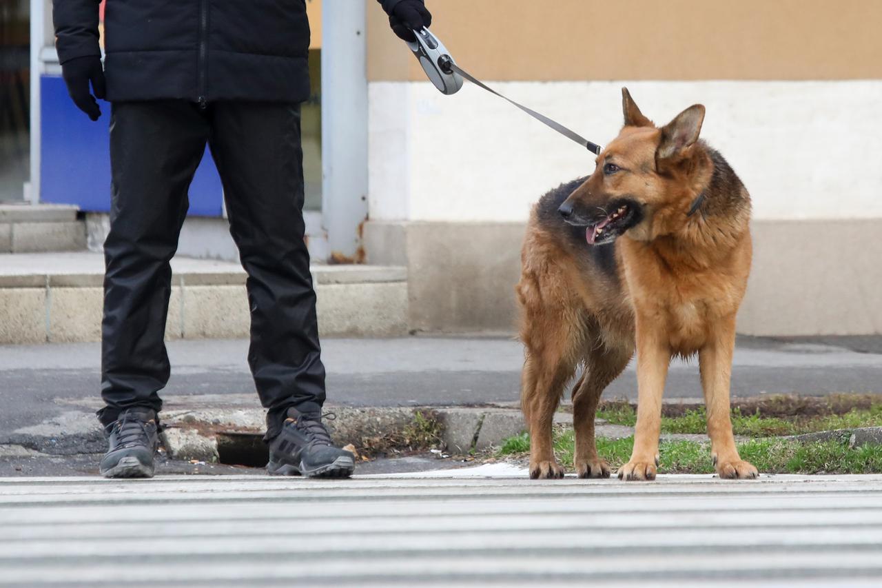 Osječani u šetnji sa svojim četveronožnim ljubimcima