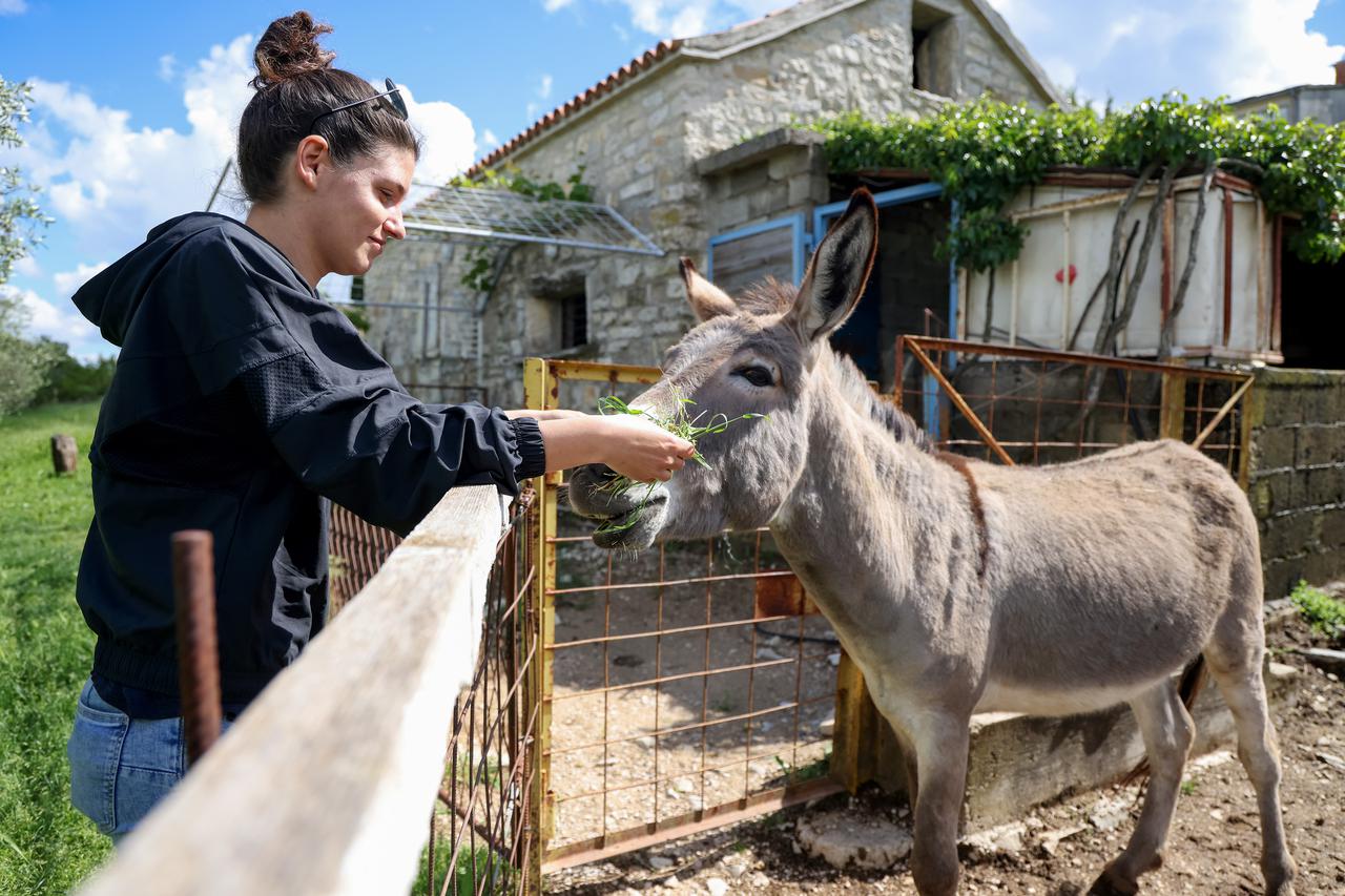 Benkovac: Turistička patrola i Večernjakove zvjezdice