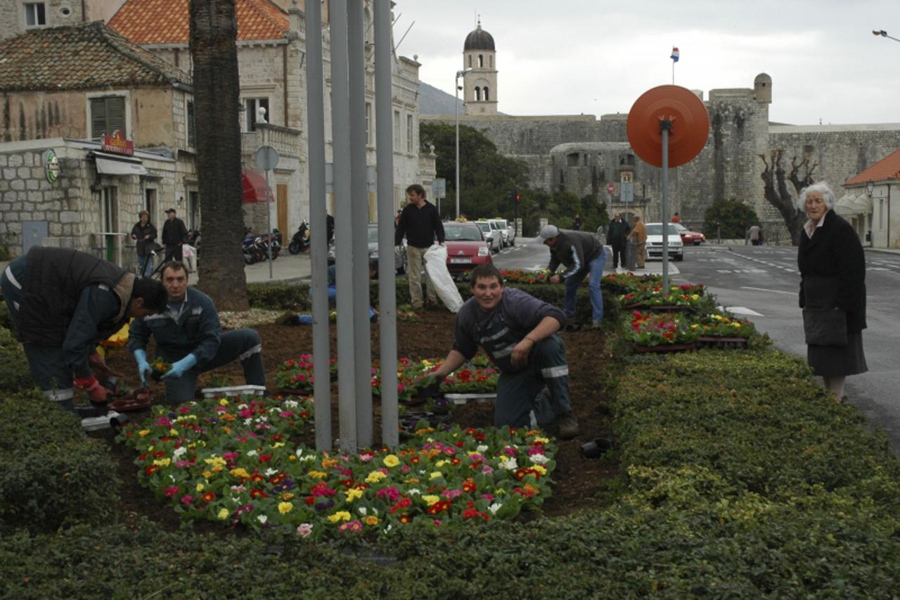 'dal-24.11.2009,dubrovnik vrtlar Photo: Zvonimir Pandza/VLM'