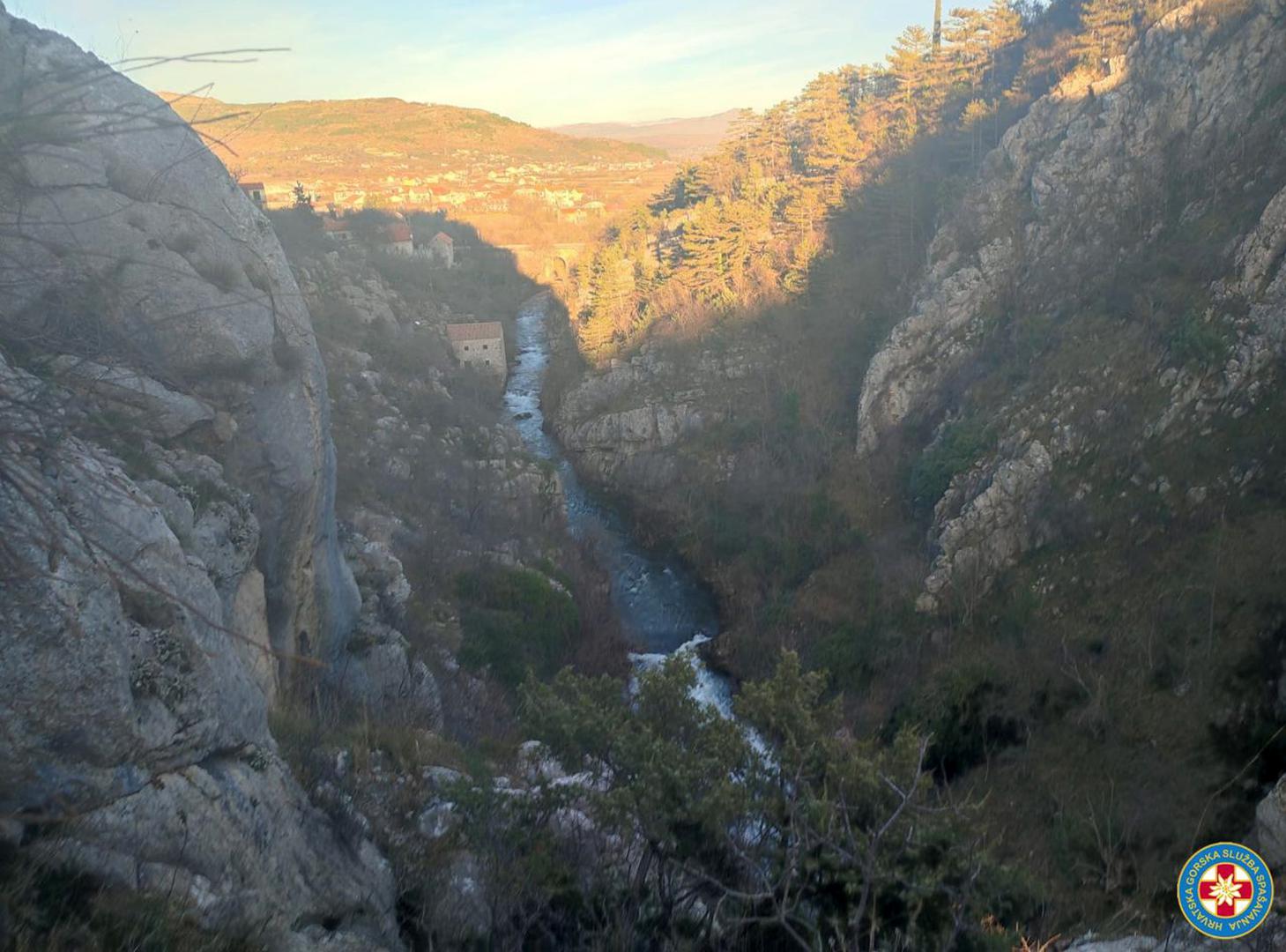 Pas je predan u azil čime je ova akcija uspješno završena. 