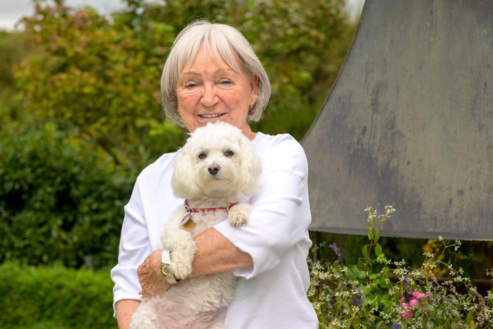 Maltezer: Maltezer je nježan i vezan uz vlasnika pa je odličan ako netko traži toplinu i mirno društvo kroz dan. Kratke šetnje i malo igre sasvim su mu dovoljni, a pritom će vas potaknuti na dnevnu rutinu izlazaka. Dlaku je najlakše održavati dok je kraća jer tako ne traži više vremena.