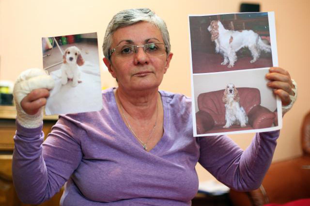 vesna depisol  (1)
