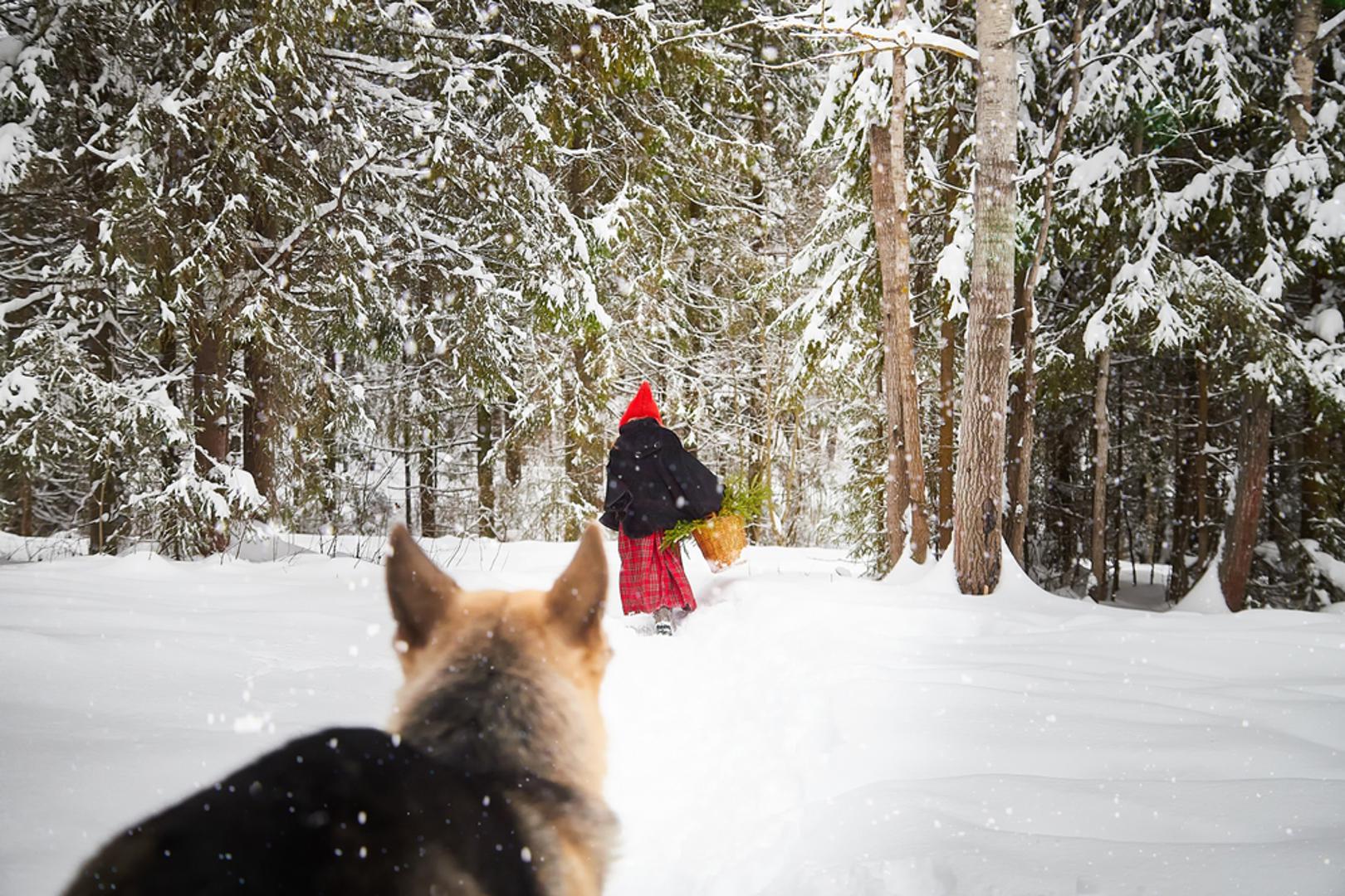 Crvenkapica: Najpoznatija šokantna varijanta nije ona u kojoj vuk 'samo' pojede baku, nego detalji koji tome prethode. Naime, u nekim starijim verzijama djevojčici lažna baka posluži meso i krv pa tek onda ona shvati što se događa. U pojedinim inačicama nema ni spasitelja lovca, priča jednostavno završava tako da vuk pobijedi. 