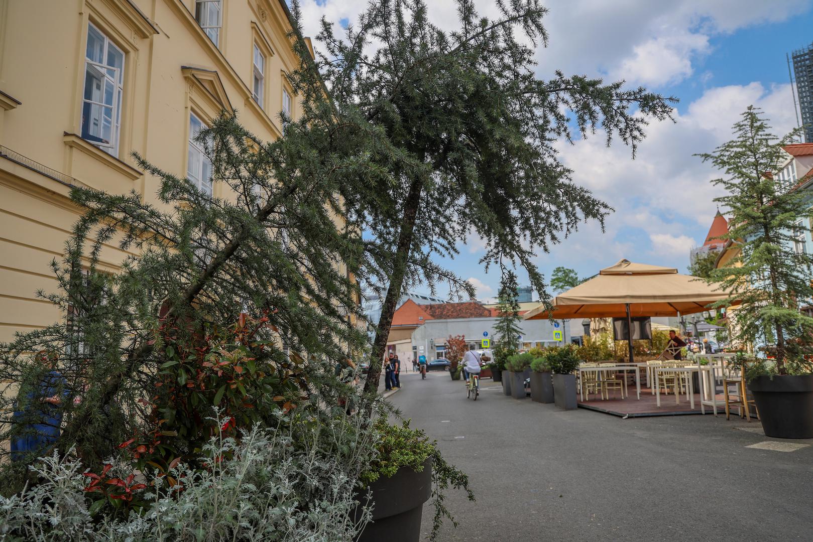 Prema posljednjim informacijama, u tijeku je ishođenje građevinske dozvole, dok je u planu javne nabave za 2026. za projekt osigurano 2,7 milijuna eura. Projekt predviđa potpuno popločavanje ulice, ujednačene terase i suncobrane, kao i nove zelene površine s cvjetnim otocima, travama i grmovima magnolija, uz javne česme za građane i kućne ljubimce.