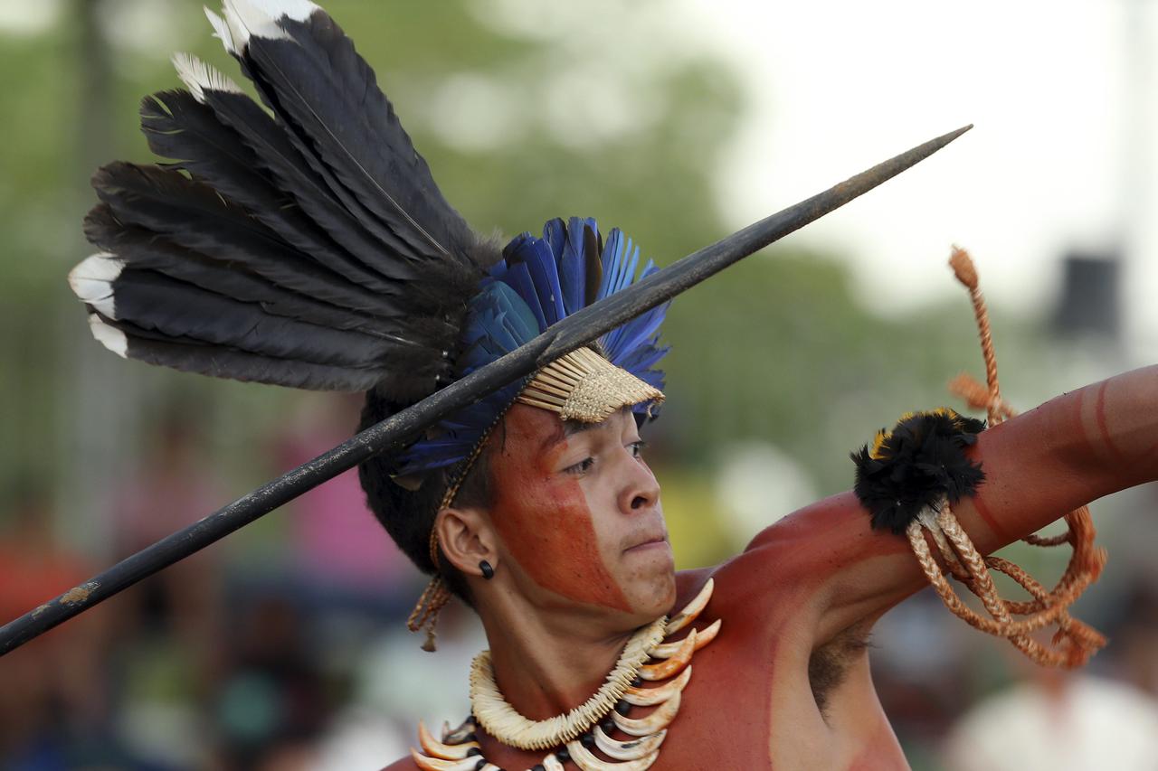 Brazilski domoroci
