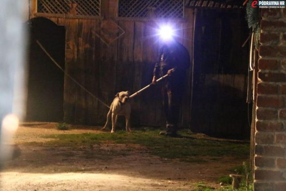 napad argentinskog psa