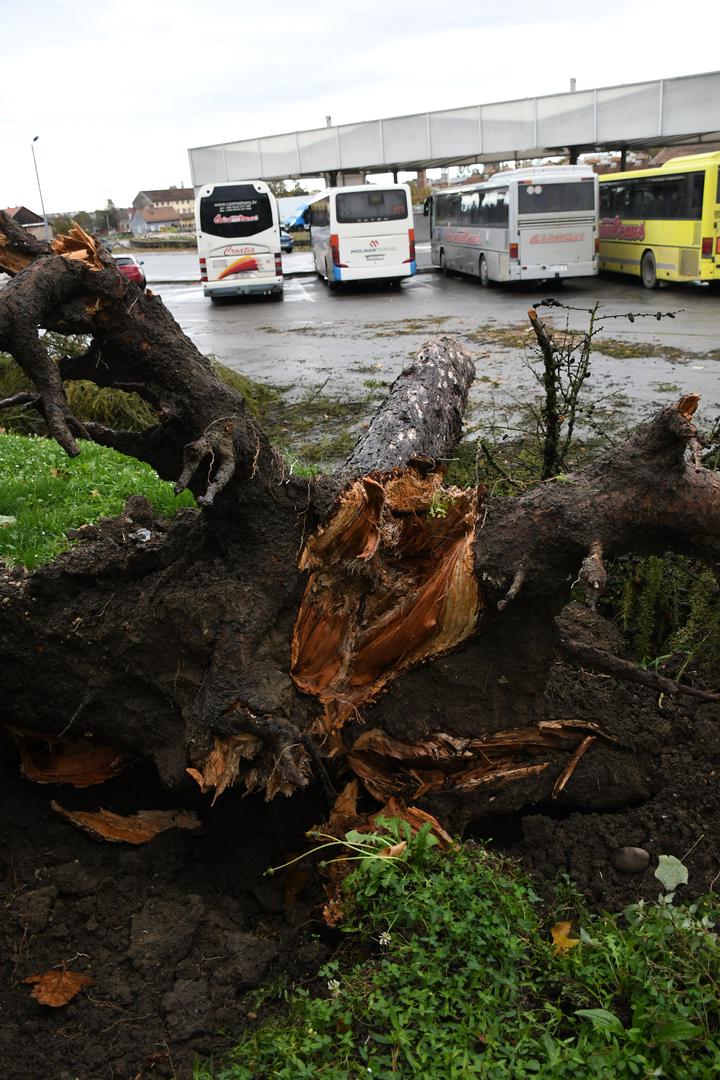 Uslijed jakog nevremena i vjetra stablo bora iščupano je iz korijena, te je palo na autobus na autobusnom kolodvoru.  