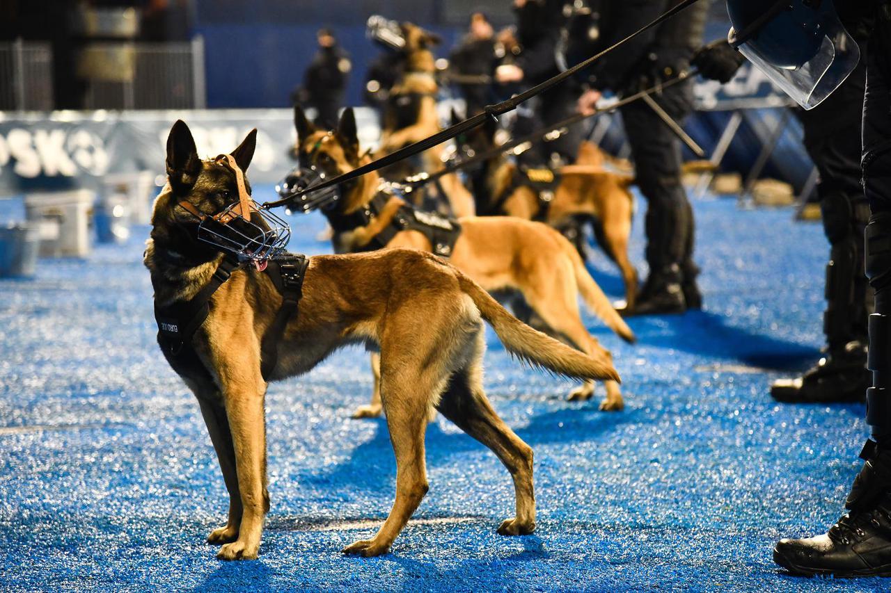 Zagreb: Policija s psima ispod tribine Bad Blue Boysa