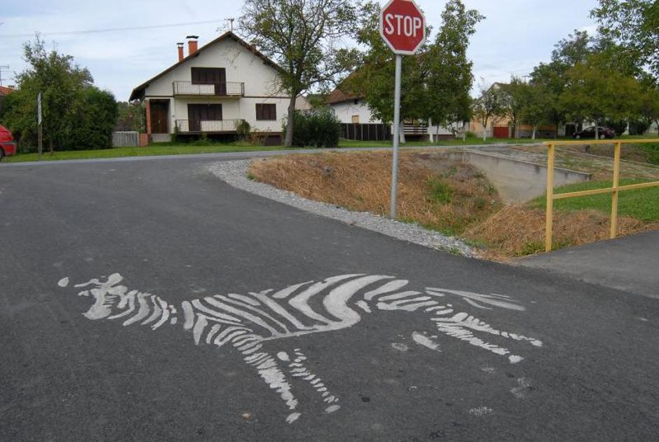 sibinj zebra