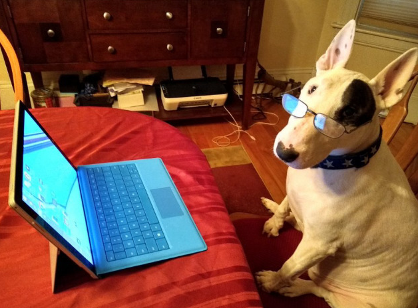 Neki su ipak ozbiljno shvatili ovaj rad od kuće.