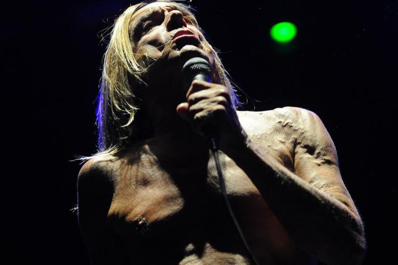 iggy Pop (1)