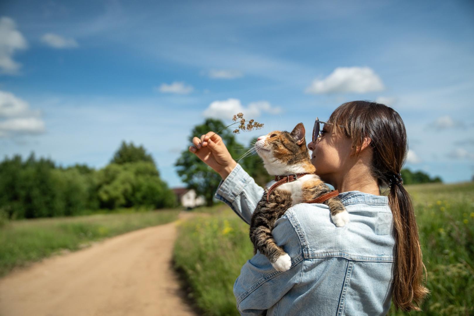 Kako mački omogućiti siguran boravak vani? Ako želite da vaš ljubimac ipak uživa na zraku, najbolje rješenje je izlazak na povodcu s dobro prilagođenom ormom ili ograđeni prostor u dvorištu ili na balkonu. Tako mačka dobiva sunce, svjež zrak i nove mirise, ali ostaje zaštićena od većine opasnosti. 