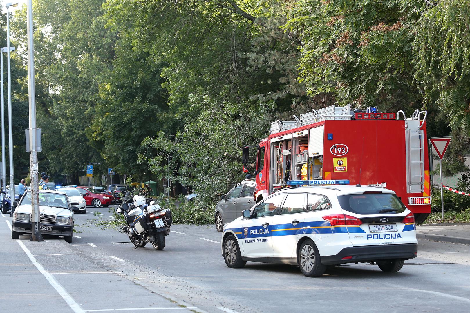 U Lastovskoj ulici u Zagrebu grana drveta se srušila na automobil.