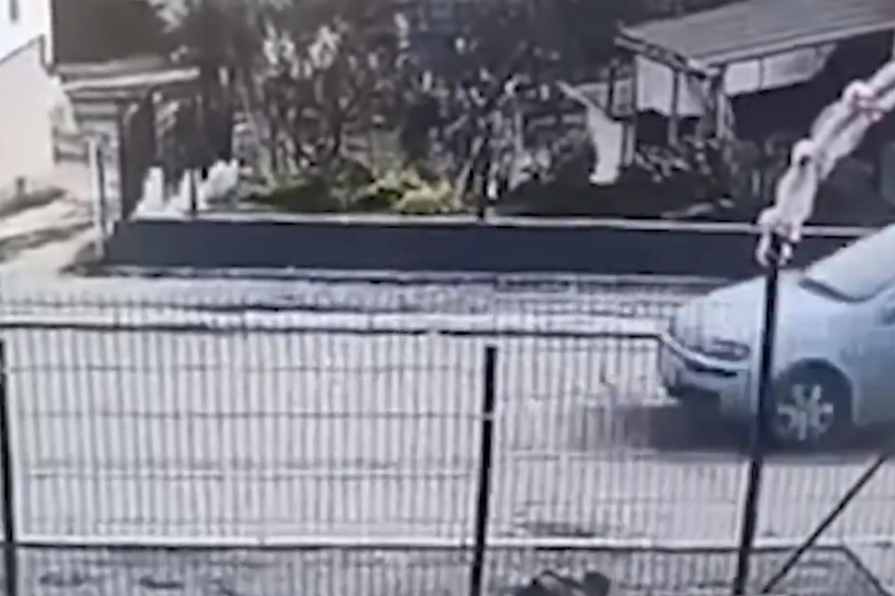 Snimka nadzorne kamere