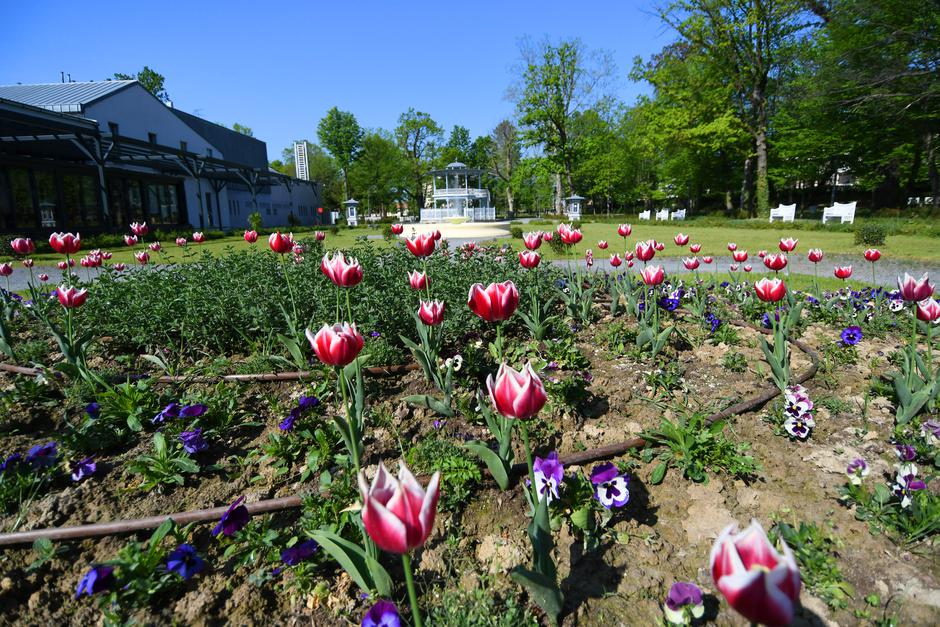 Turistička patrola Lipika
