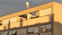 Architect slams drunken British tourists on Split rooftop, igniting rental debate