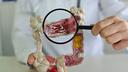 Doctor reveals: These are 6 surprising warning signs your gut is sending you