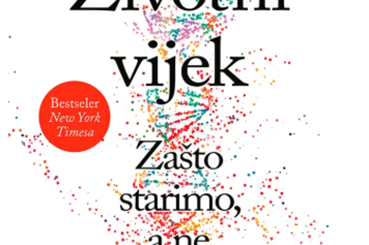 storyeditor/2026-09-16/VIjek.png