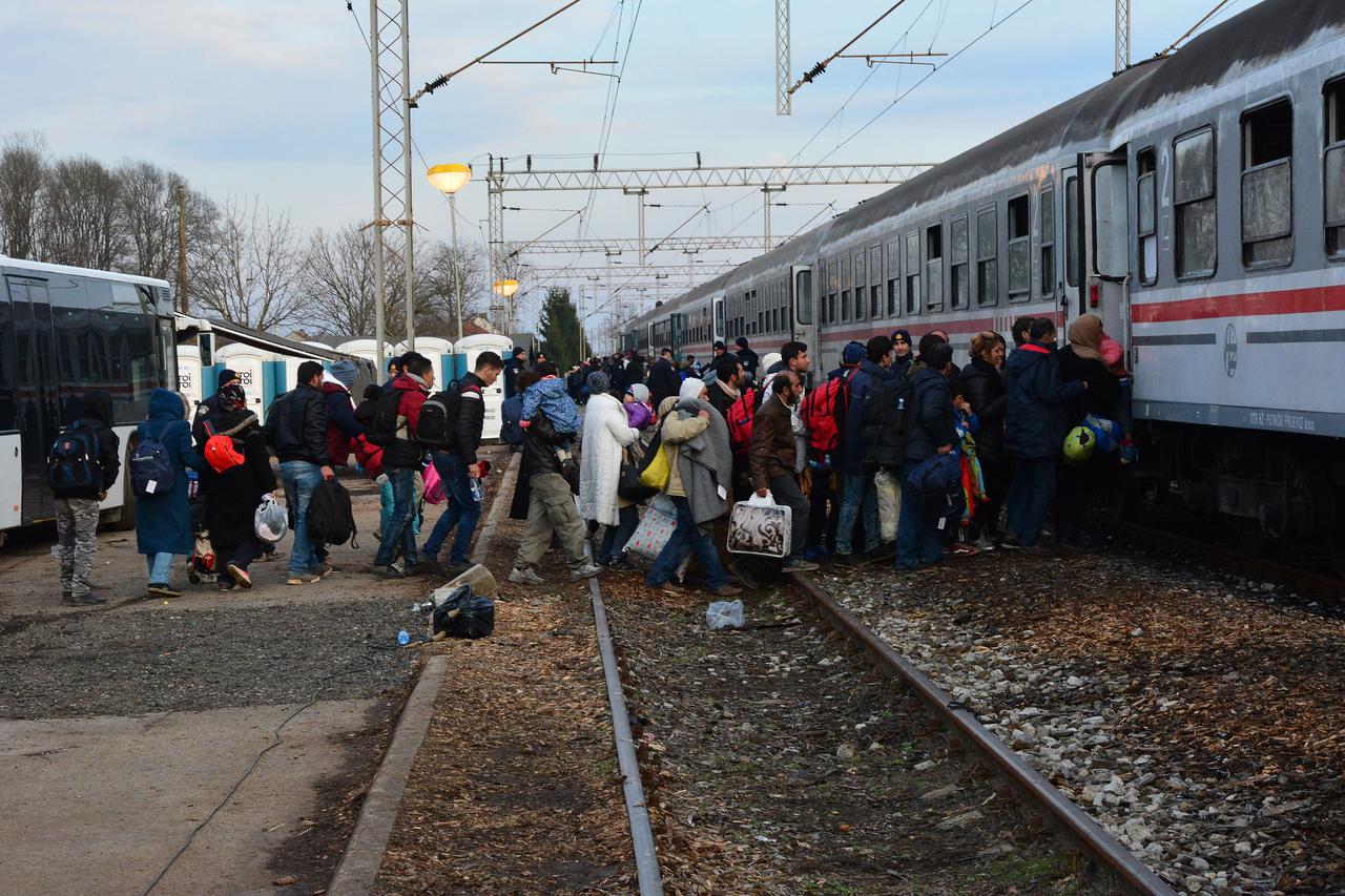 migranti