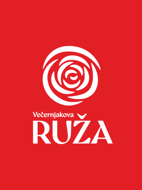 Večernjakova ruža 26