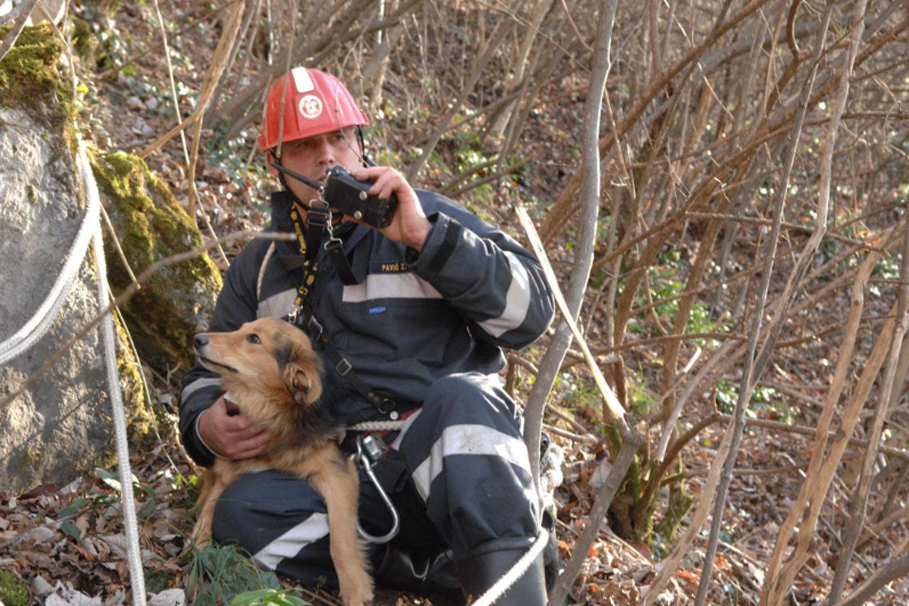 '14.11.2010. Goricanovec, Durmanec - Nakon sto su mjestani Goricanovca culi zavijanje psa u sumi pozvali su vatrogasce da ga spase. Pas Jagoda pala je niz liticu u sumi i zaglavila se izmedju stabala.